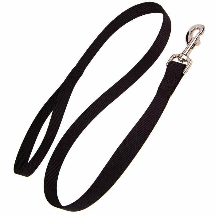 prod_Nylon leash - dog leash