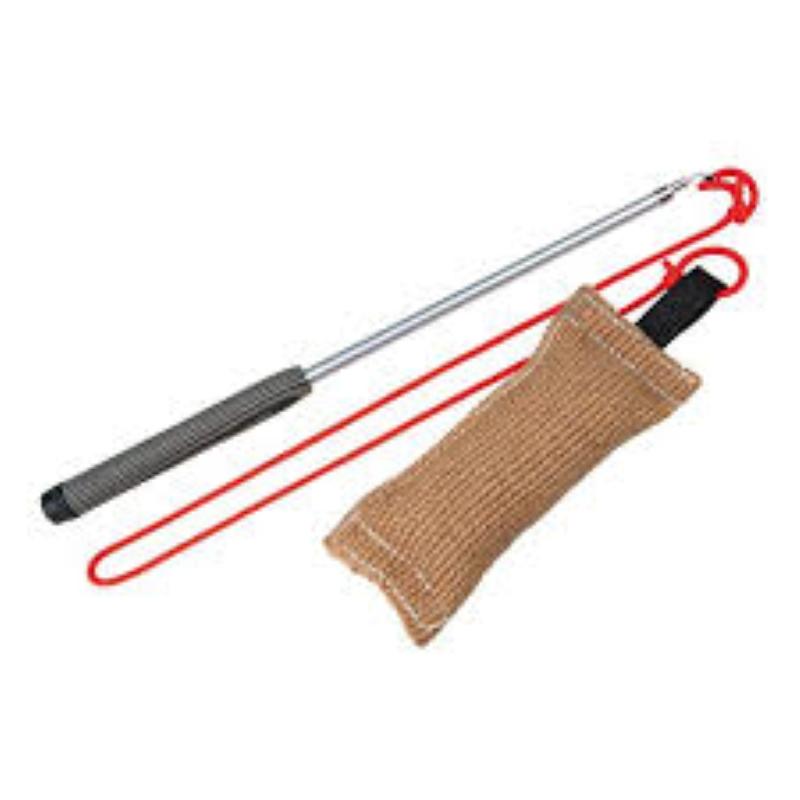 prod_Trixie Flirting Rod Dog Activity